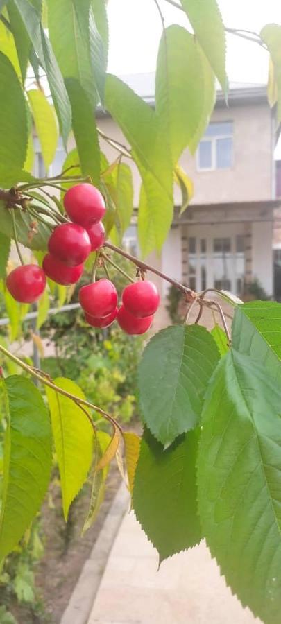 Abs Guest House Ош Екстериор снимка